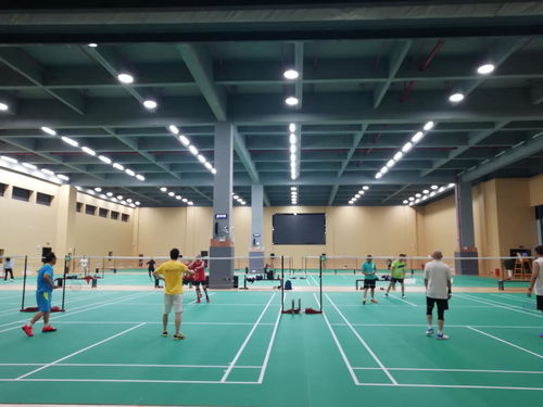 羽毛球照明設計標準和技術要求